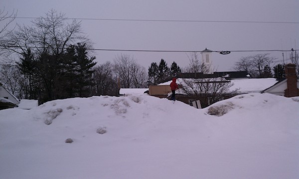 Cole on the snowy Beford Common (02-13-2011 11:01)