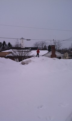 Cole on the snowy Beford Common (02-13-2011 11:01)