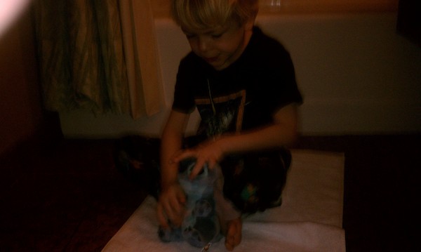 Cole and Stitch play DS (02-28-2011 06:32)