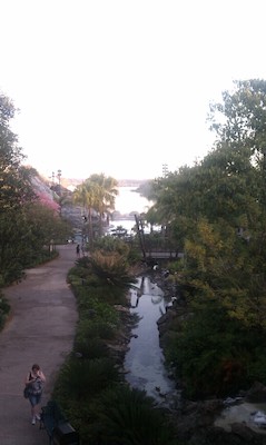 View from the Polynesian (02-28-2011 07:17)