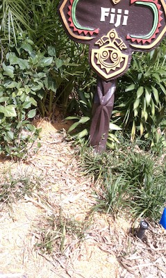 Fiji (03-02-2011 11:38)