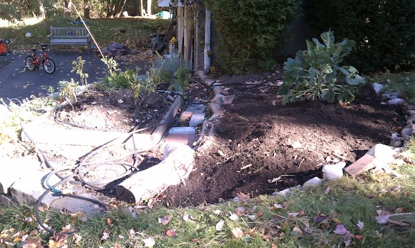 Vegetable garden (10-22-2010 10:15)