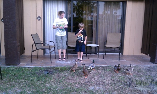 Elisabeth and Zachary and the ducks at the Poly (02-26-2011 17:17)