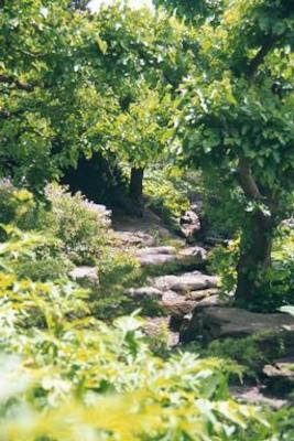 Montreal Botanical Garden