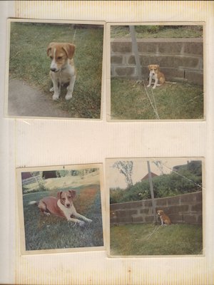 Page 01 (05-17-2009 20:02)