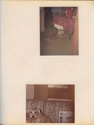 Page 03 (05-17-2009 20:02)