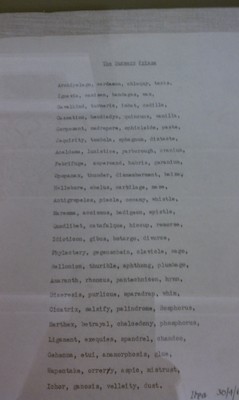 IMAG0621 - Gorey words (03-09-2011 16:24)