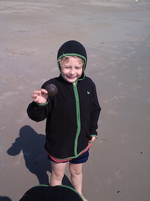 IMG_20110508_093333 - Tim's sand dollar (05-08-2011 09:33)