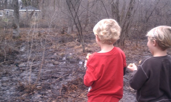 IMAG0645 - Cole and Tim and ducks (04-05-2011 17:58)