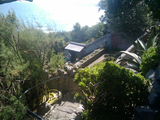 The gardens at St. Michaels Mount (07-07-2011 15:33)
