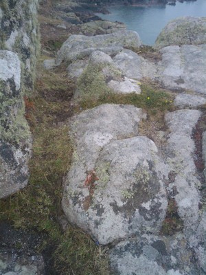 Lichen on the Scillies (07-12-2011 15:24)