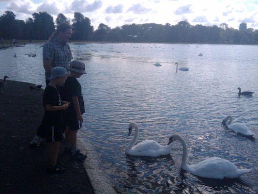 Feeding the swans in Hyde park (07-22-2011 09:37)