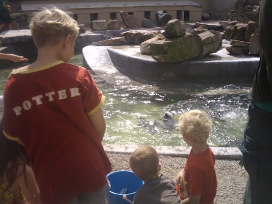 Tim and Cole feeding the penguins (07-05-2011 11:01)