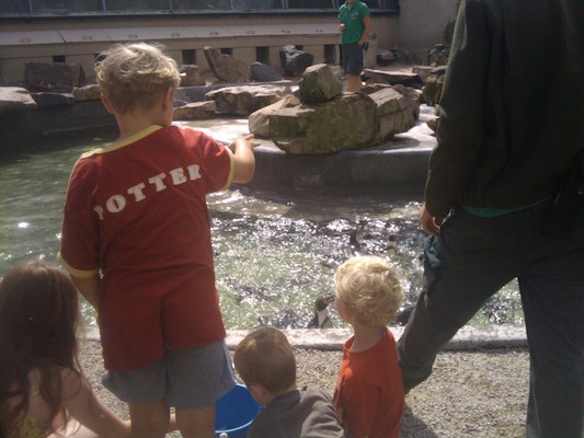 Tim and Cole feeding the penguins (07-05-2011 11:02)
