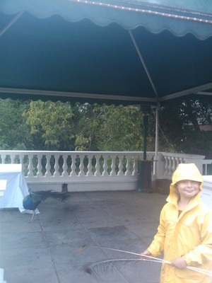 Tim and a peacock (07-20-2011 19:11)