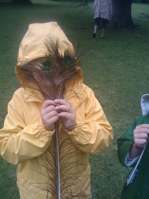Peacock Tim (07-20-2011 19:15)