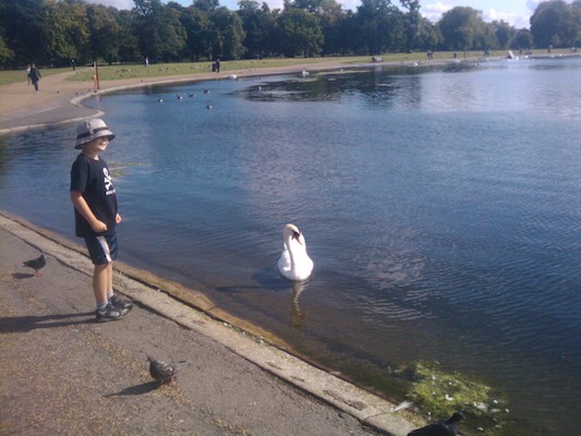 Tim and a swan at Hyde park (07-22-2011 09:23)