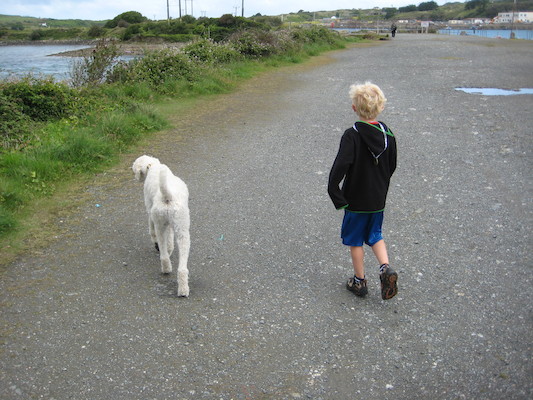 Bazzle and Cole at the Carnshew pool (07-08-2011 09:53)