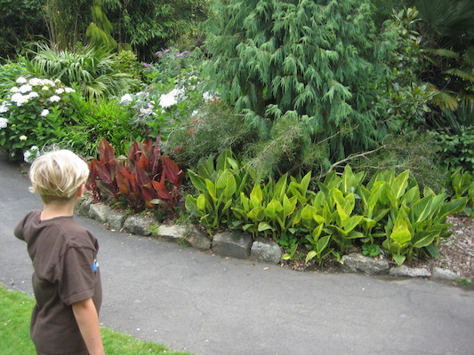 Tim at the Morab gardens (07-09-2011 10:14)