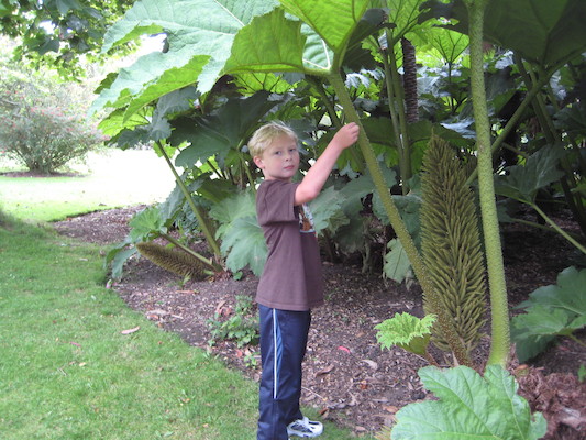Tim at the Morab gardens (07-09-2011 10:15)