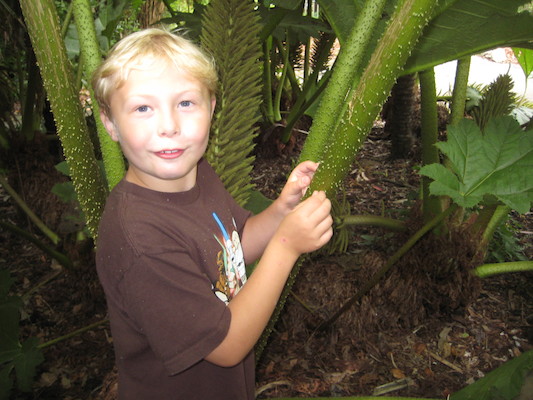 Tim at the Morab gardens (07-09-2011 10:19)