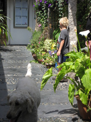 Bazzle and Cole at the craft shops in St. Ives (07-11-2011 11:24)