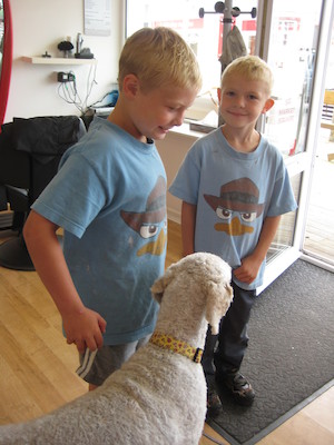 Tim, Bazzle and Cole at the hairdresser (07-12-2011 12:22)