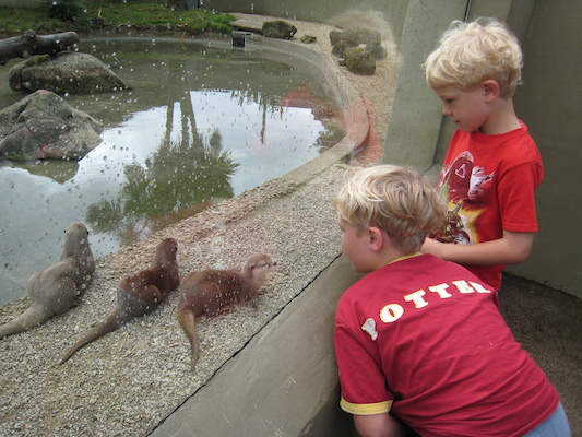 Tim and Cole and the Otters (07-05-2011 10:17)