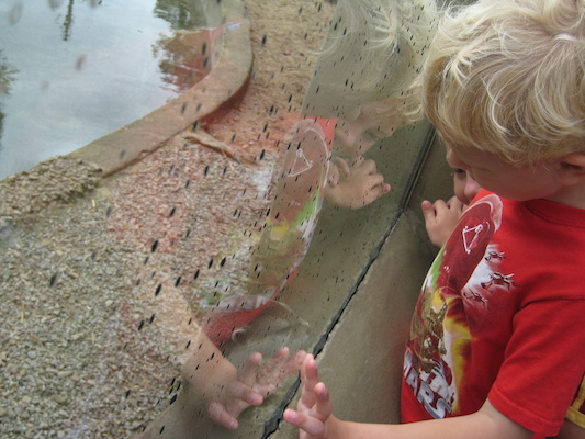 Cole and the otter (07-05-2011 10:17)