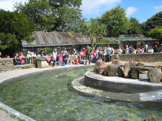 Cole and Tim feeding the penguins (07-05-2011 11:04)