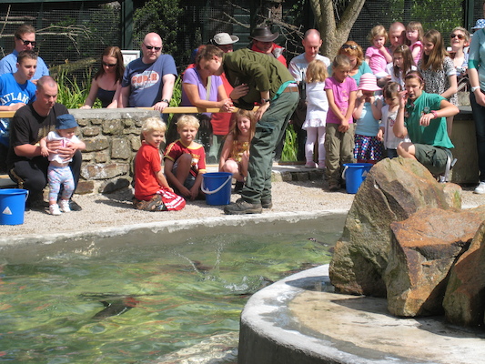 Cole and Tim feeding the penguins (07-05-2011 11:04)