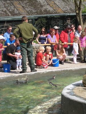 Cole and Tim feeding the penguins (07-05-2011 11:04)