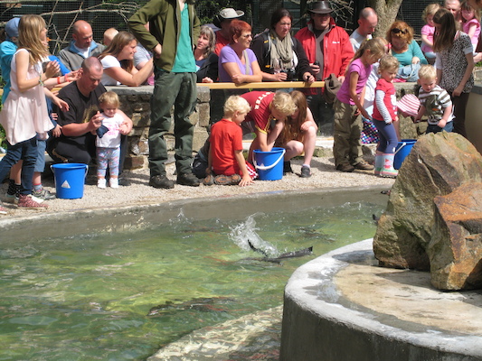 Cole and Tim feeding the penguins (07-05-2011 11:07)