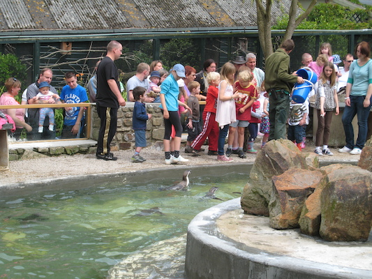 Cole and Tim feeding the penguins (07-05-2011 11:07)