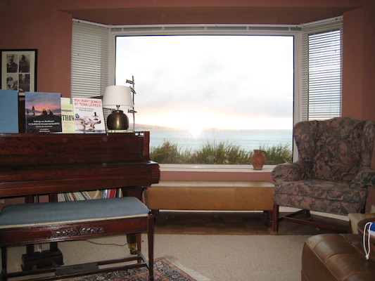 View from the sitting room (07-06-2011 21:00)