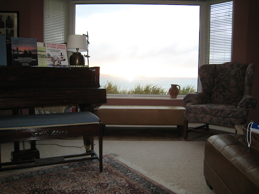 View from the sitting room (07-06-2011 21:01)