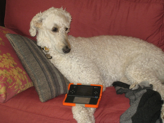 Bazzle playing the DS (07-08-2011 09:58)