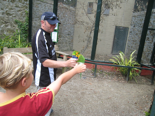 Tim and the lorikeets (07-08-2011 14:36)