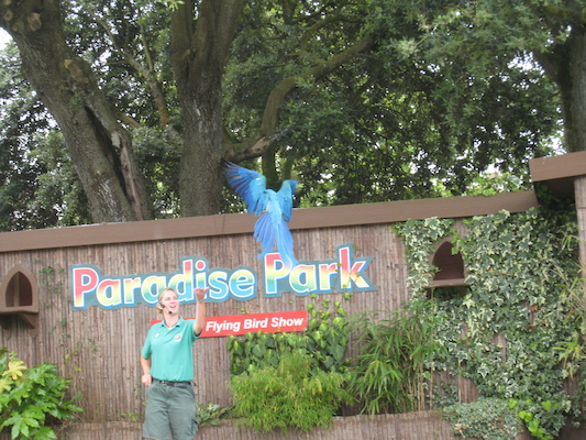 Parrot (07-08-2011 15:35)