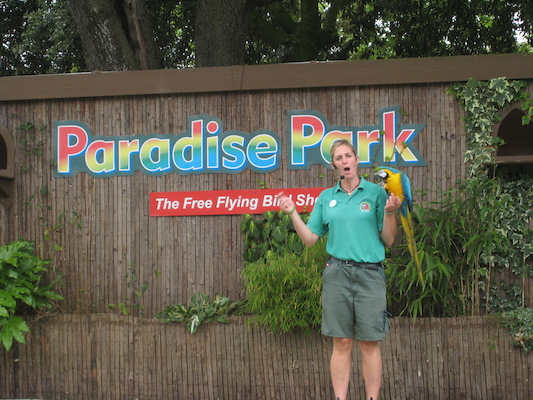 Parrot (07-08-2011 15:36)