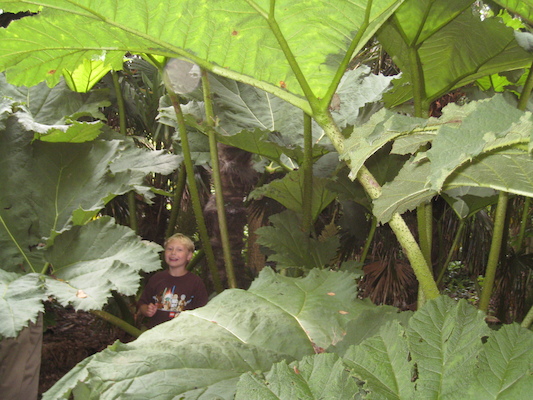 Tim in the Morrab garden (07-09-2011 11:18)