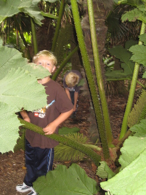 Tim and Cole in the Morrab garden (07-09-2011 11:18)