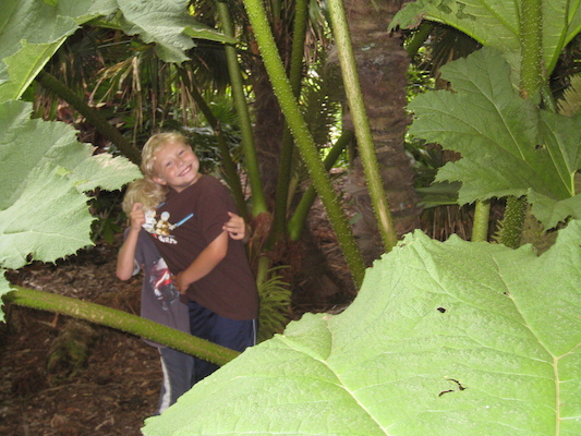 Tim and Cole in the Morrab garden (07-09-2011 11:19)