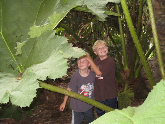 Tim and Cole in the Morrab garden (07-09-2011 11:19)