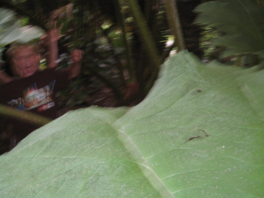 Tim and Cole in the Morrab garden (07-09-2011 11:19)