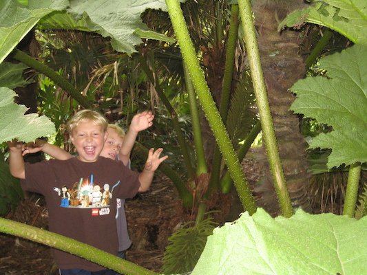 Tim and Cole in the Morrab garden (07-09-2011 11:19)