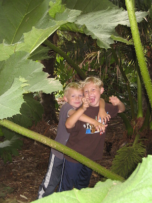 Tim and Cole in the Morrab garden (07-09-2011 11:19)