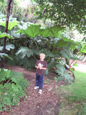 Tim in the Morrab garden (07-09-2011 11:20)
