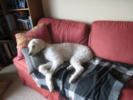 Bazzle (07-10-2011 19:22)