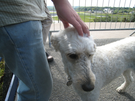 Ben and Bazzle waiting for the train (by Cole) (07-11-2011 09:50)
